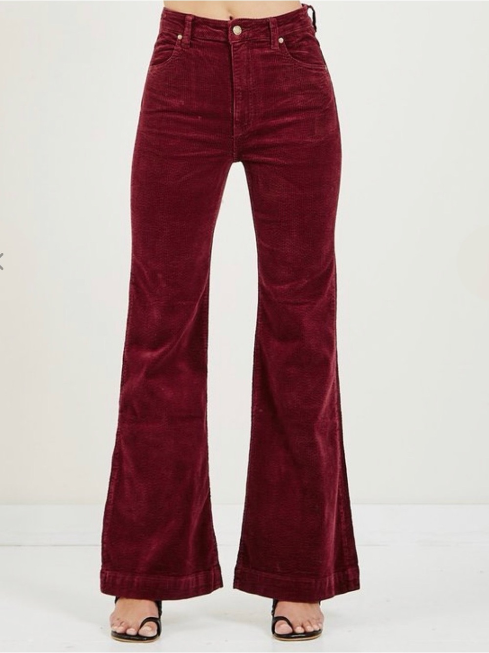 Rollas East Coast Flare Bordeaux Cord size 28